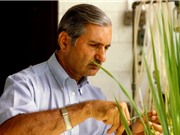 GS. Gurdev Singh Khush, Giải Đặc biệt VinFuture 2023: Muốn dùng tiền thưởng để phát triển tương lai của ngành khoa học lúa gạo